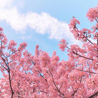 诸神录手游(暂未上线)v1.0 安卓版