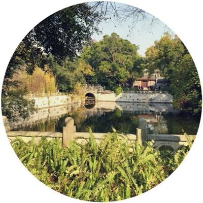 像素机器人战场官方版下载
